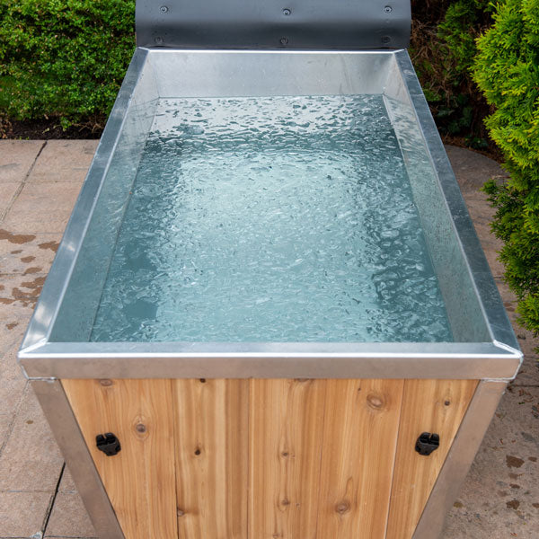 The Polar Plunge Tub, detail view